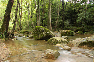 Vall d'en Bas